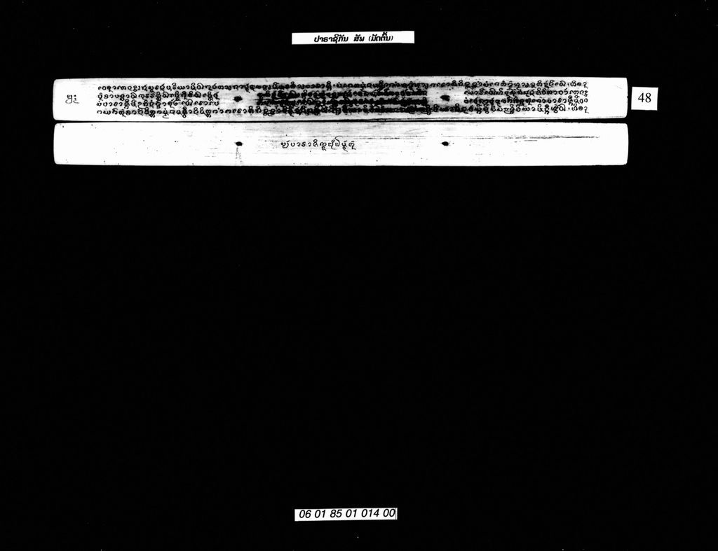 ປາຣາຊິກັນ , ສັພ (ມັດຕົ້ນ)