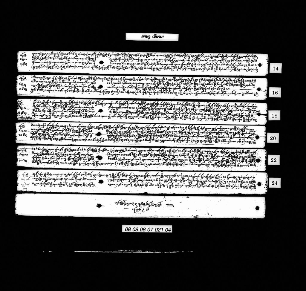 ລາຍງູ (ນິຍາຍ)