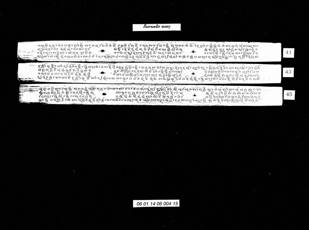 ຕົ້ນກາລະພຶກ ສລອງ