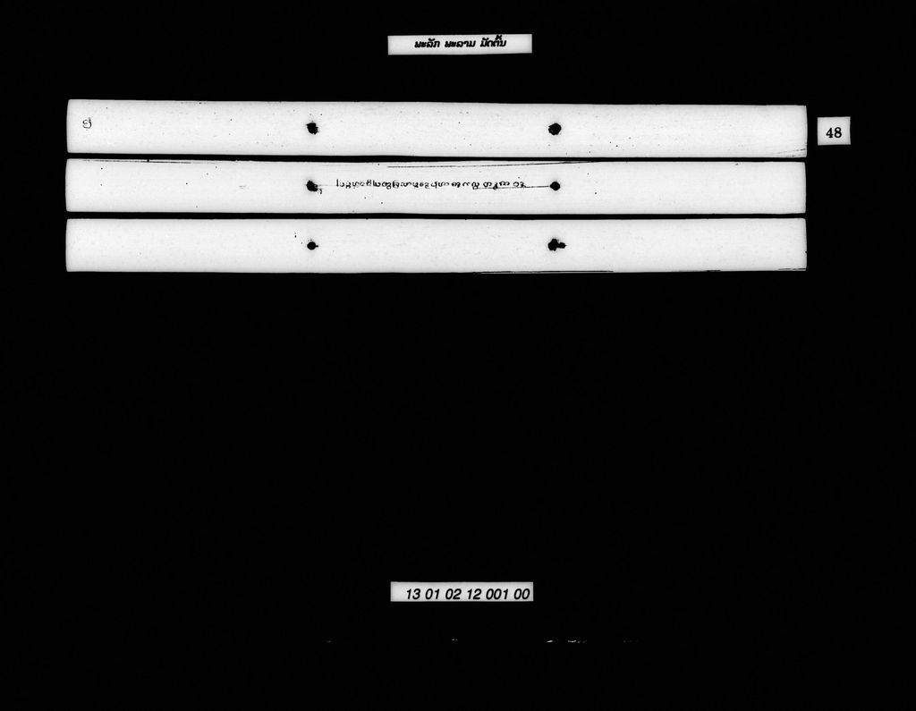 ພະລັກພະລາມ (ມັດຕົ້ນ)