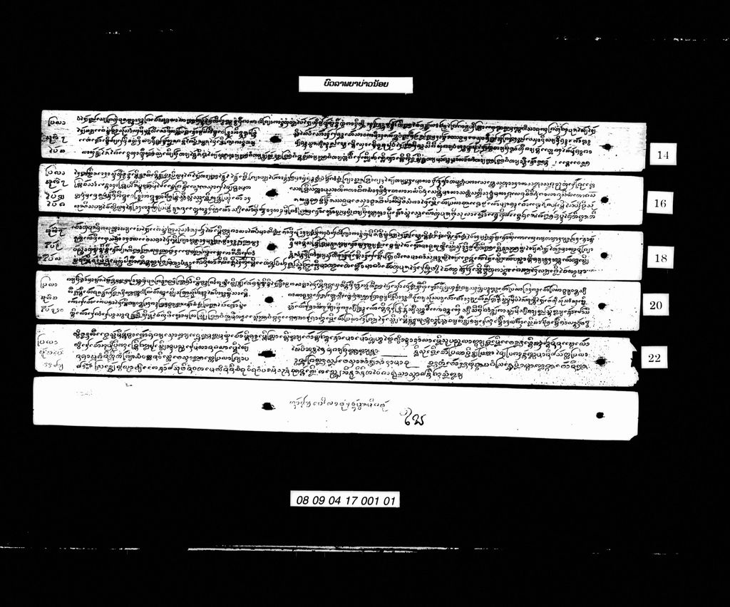 ບົວລາພຍາບ່າວນ້ອຍ