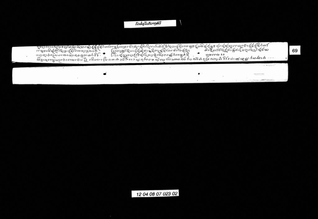 ກົກທໍ່ຫູໃບກວ້າງທໍ່ວີ