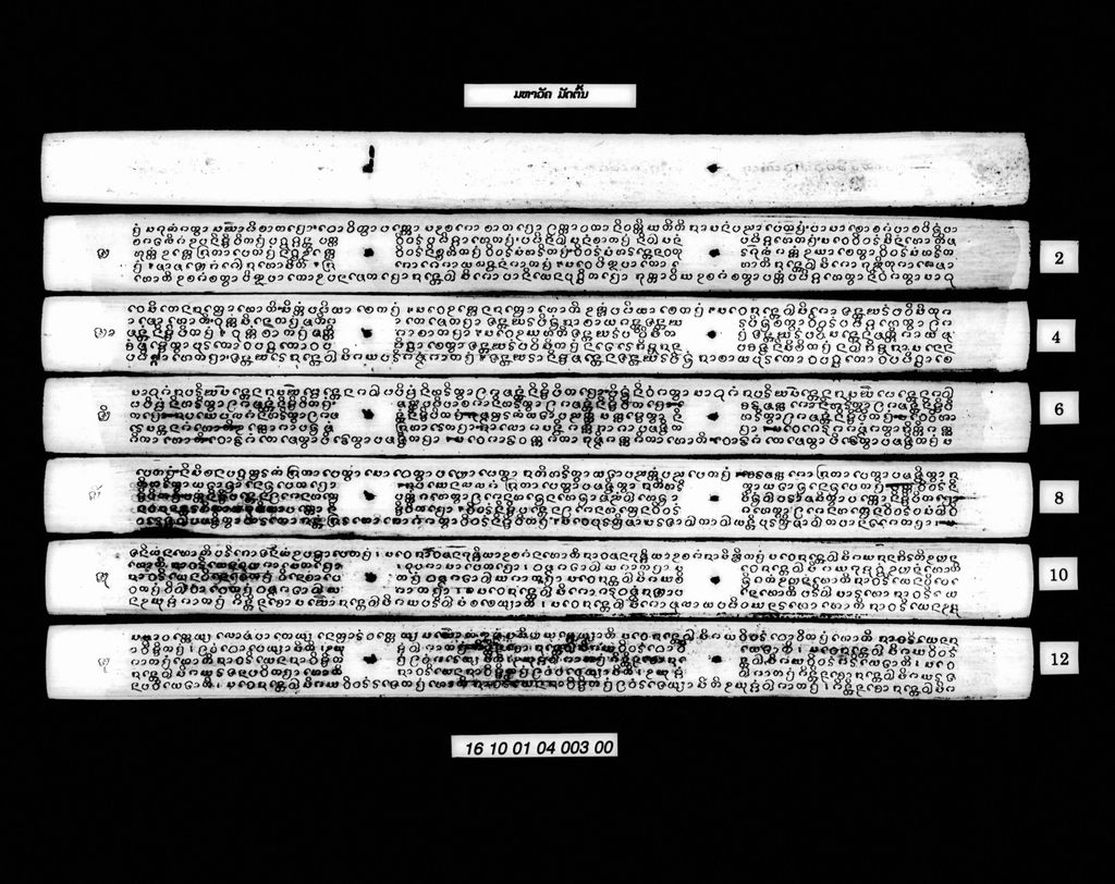 ມຫາວັຄ (ປາລີ) ມັດຕົ້ນ