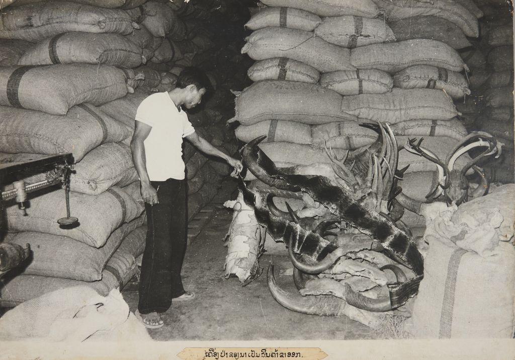 ເຄື່ຶງປ່າຂອງນາເປັນສິນຄິ່ຂາອອກ