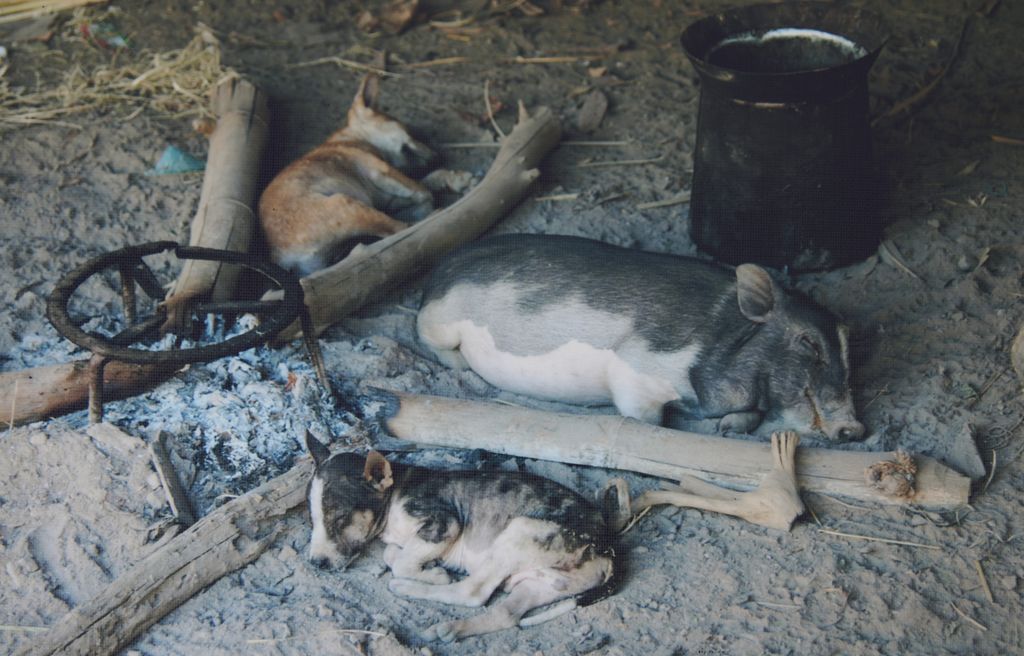 ລະ​ດູ​ໜາວ​ຢູ່​ຊົນ​ນະ​ບົດ ແຂງ​ອັດ​ຕ​ະ​ປື