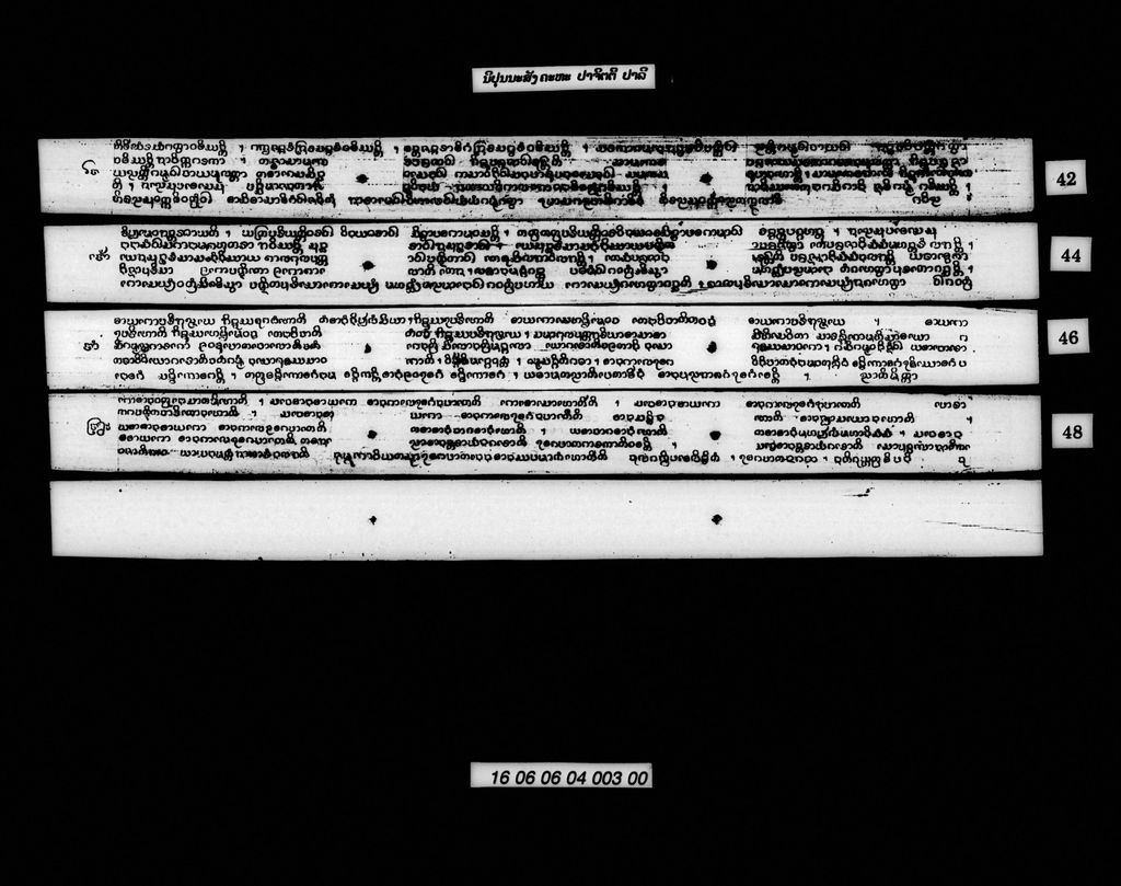 ນິປຸນນະສັງຄະຫະ (ປາຈິຕຕີ) ປາລີ