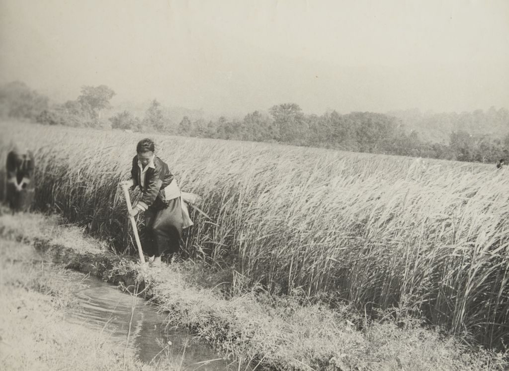 ພັດ​ທະ​ນາ​ເຂດ​ພູ​ດອຍ