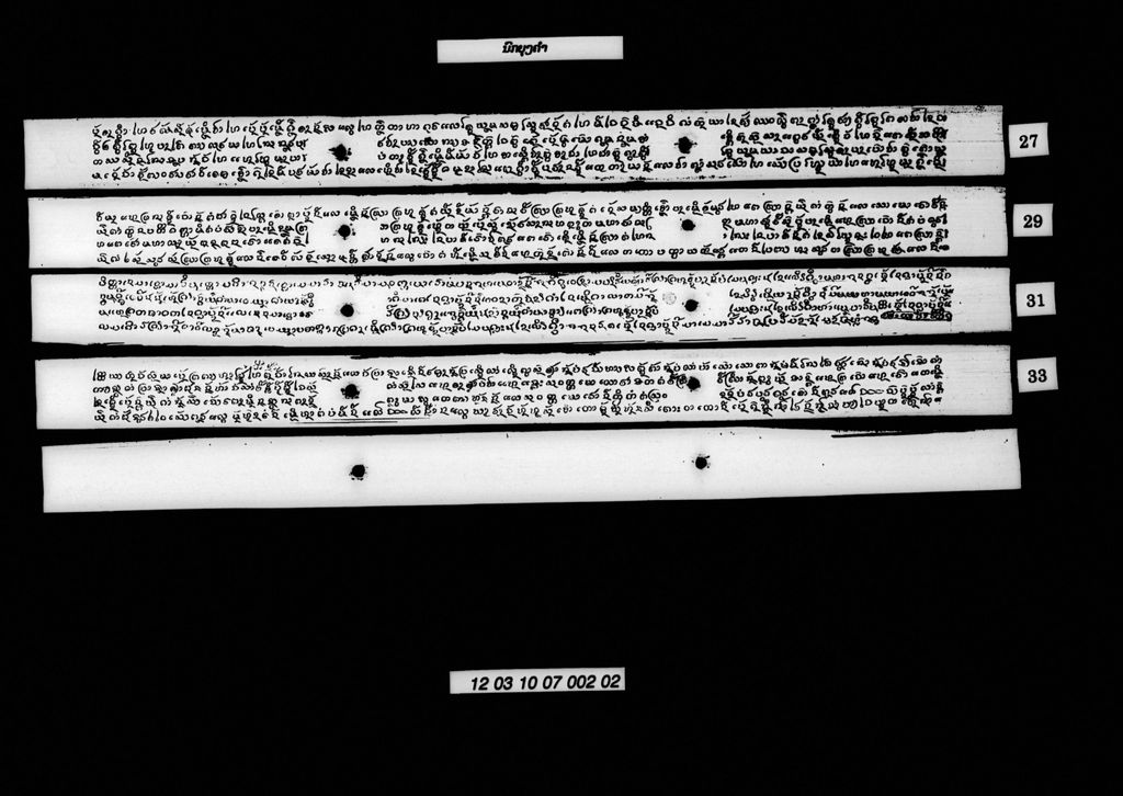 ນົກຍຸງຄຳ