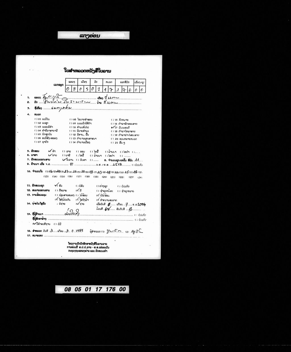 ແຕງອ່ອນ