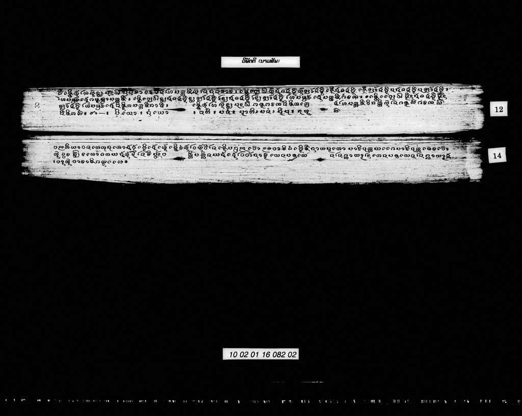 ວິພັຕຕິ (ນາມສັພທ໌)