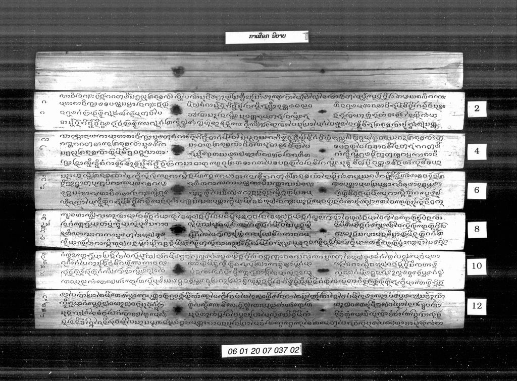 ກາເຜືອກ ນິຍາຍ