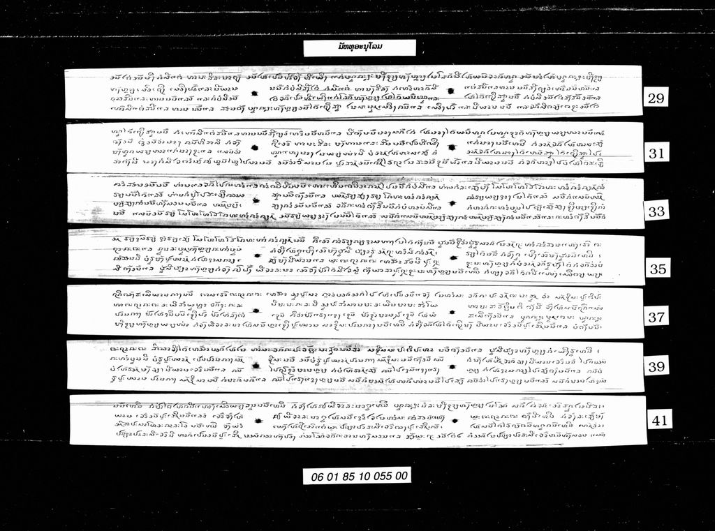 ມັທທຸອະນຸໂລມ