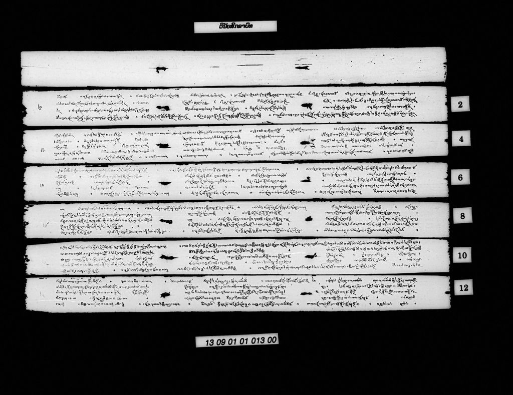 ວິນັຍສິກຂາບົທ