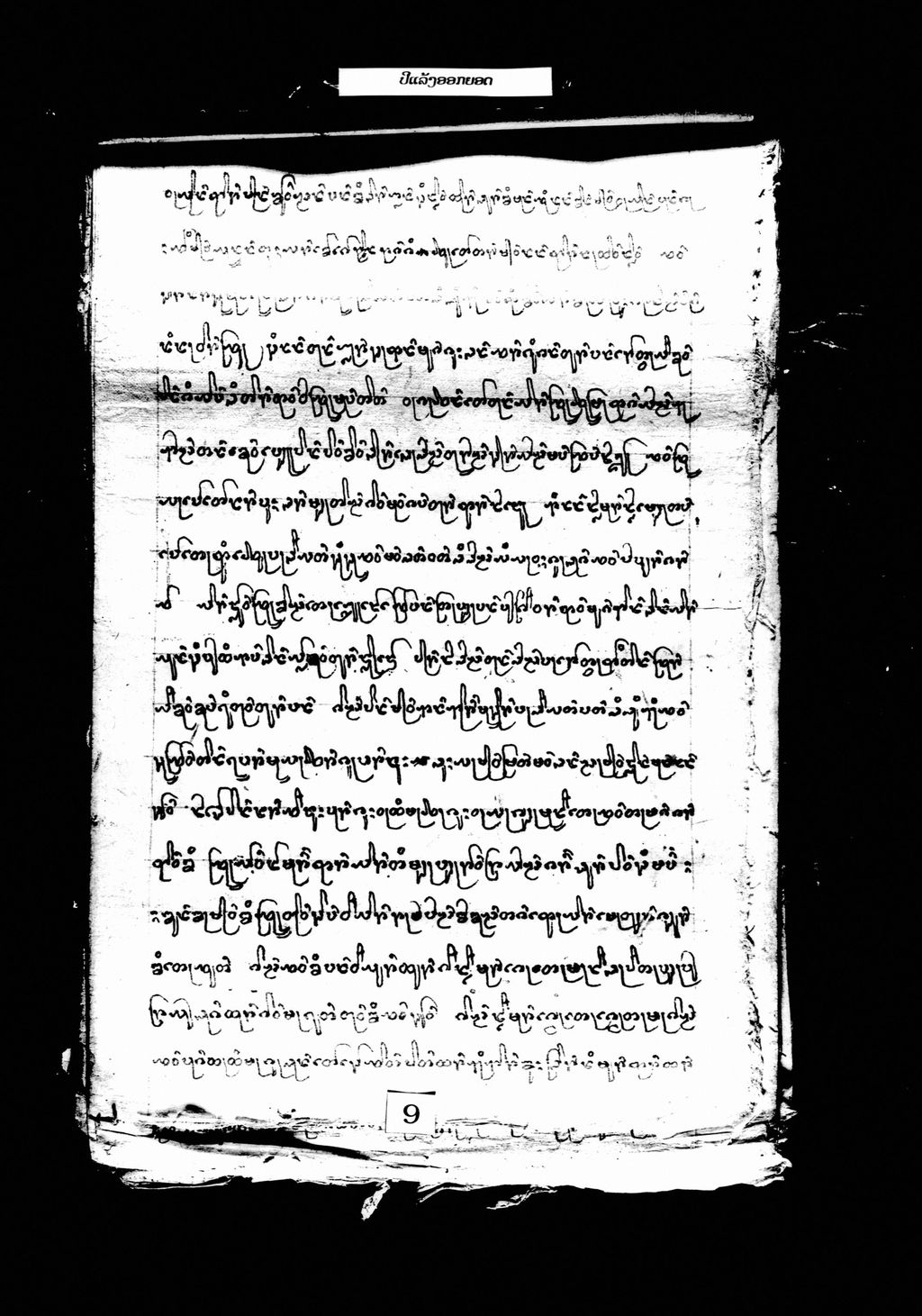 ປີແລ້ງອອກຍອດ