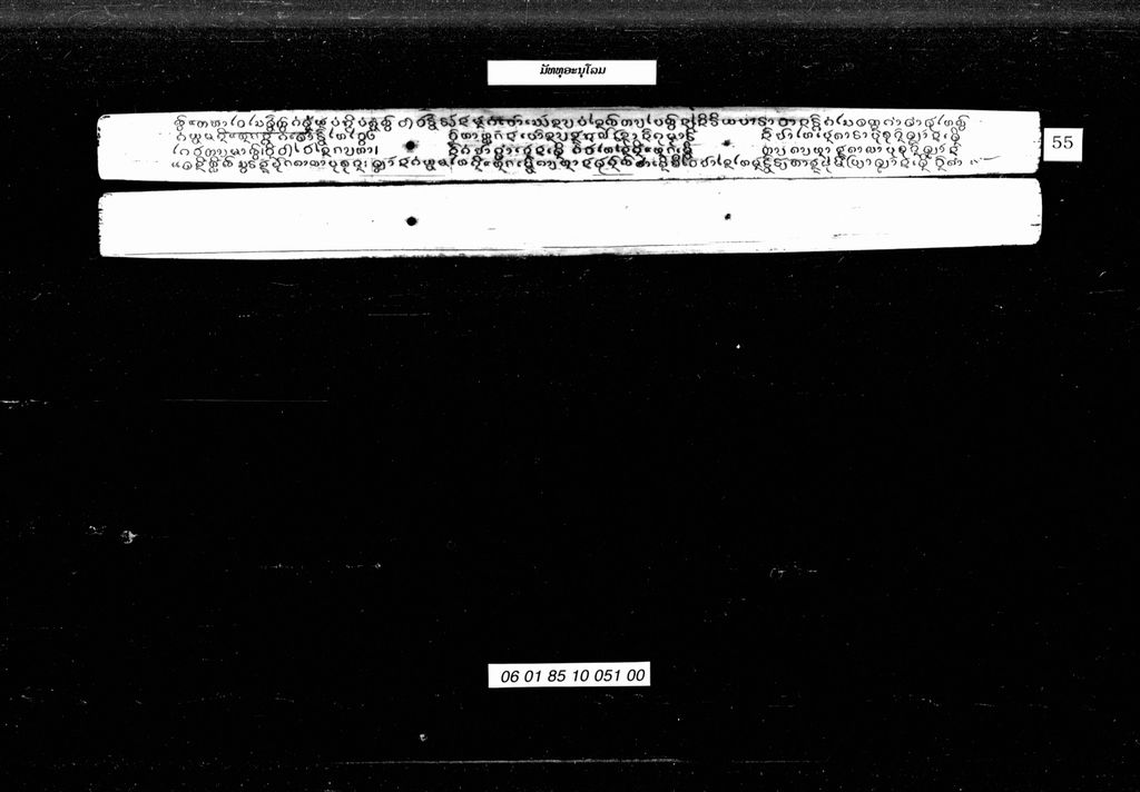 ມັທທຸອະນຸໂລມ