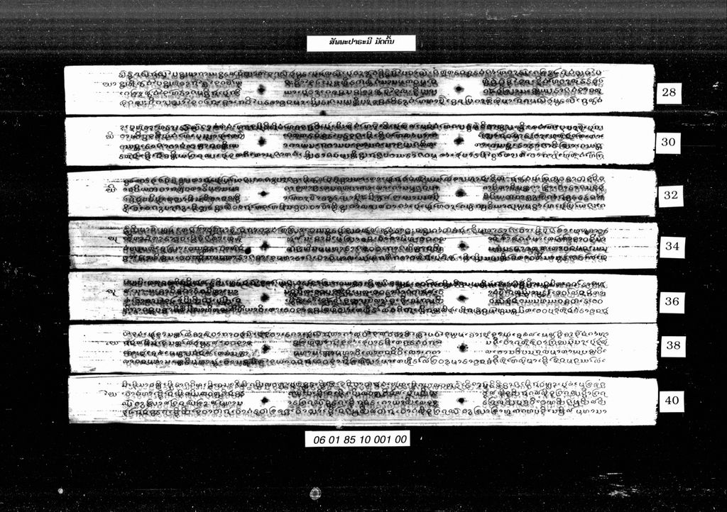 ສັພພະປາຣະມີ ( ມັດຕົ້ນ )