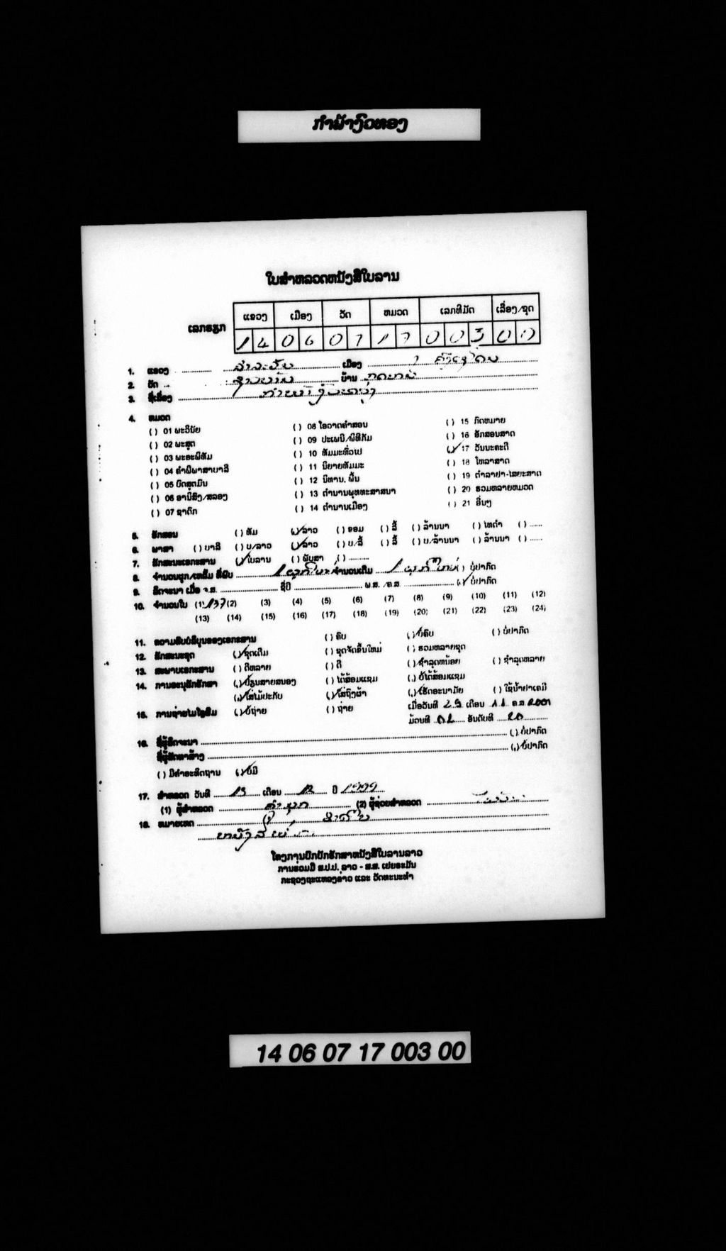 ກຳພ້າງົວທອງ