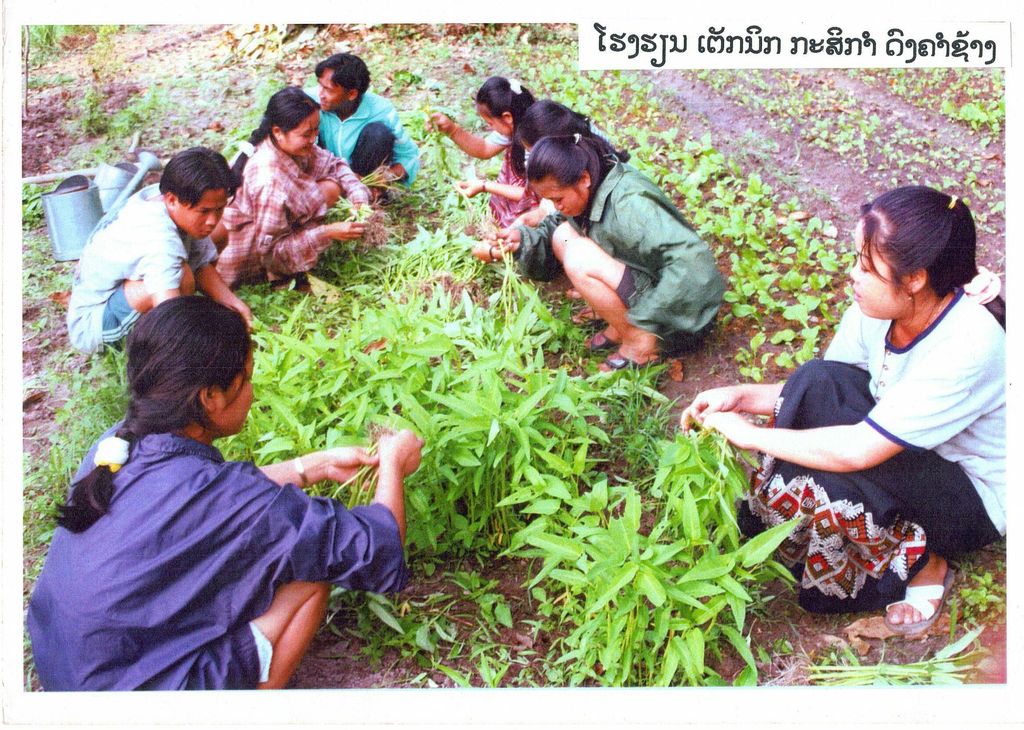 ໂຮງ​ຮຽນ​ເຕັກ​ນິກ​ກະ​ສິ​ກຳ​ດົງ​ຄຳ​ຊ້າງ