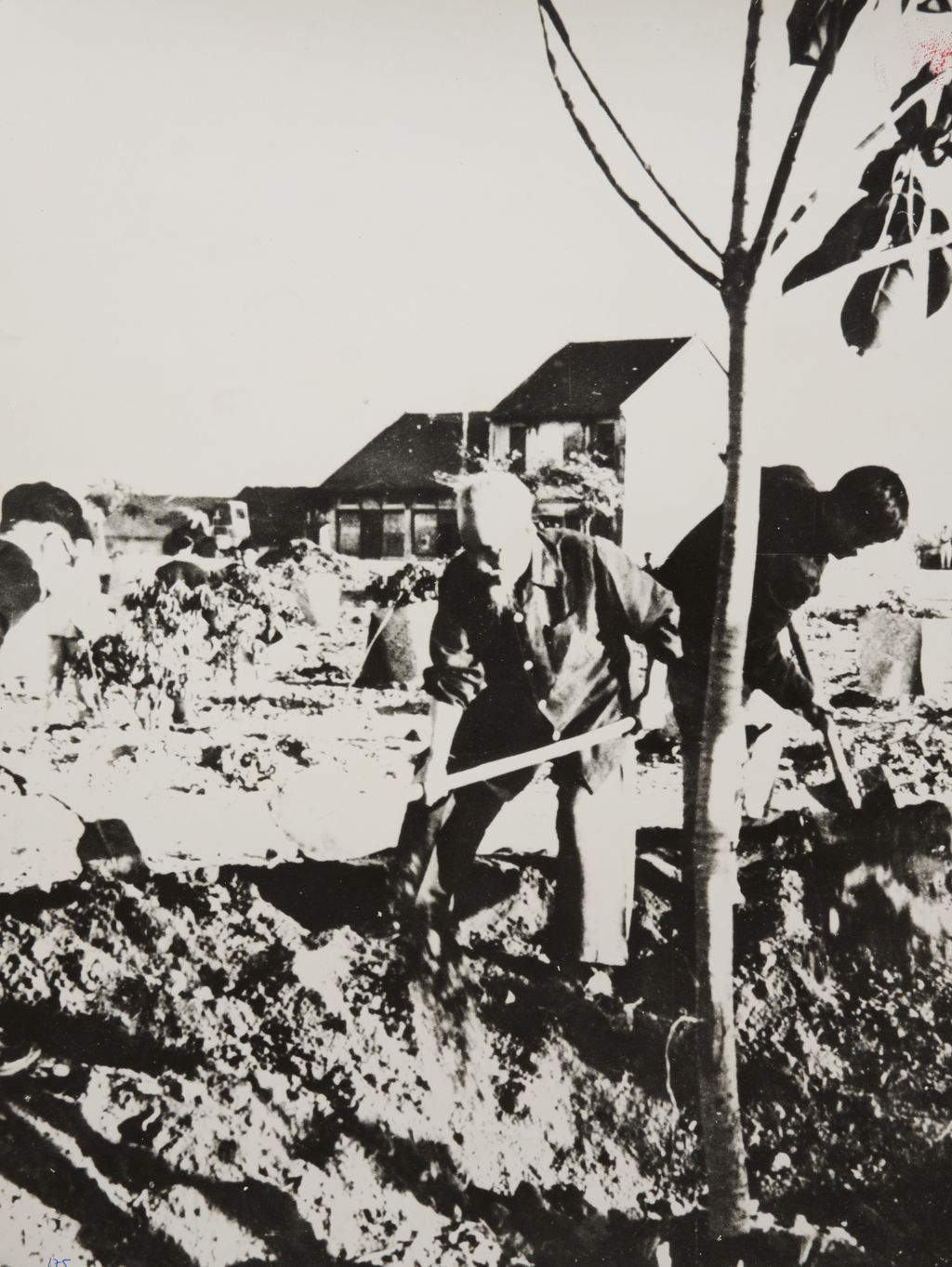 ເພື່ອ​ຄວາມ​ຜາ​ສຸກ 20 ປີ​ຕ້ອງ​ປູກຕົ້ນ​ໄມ້