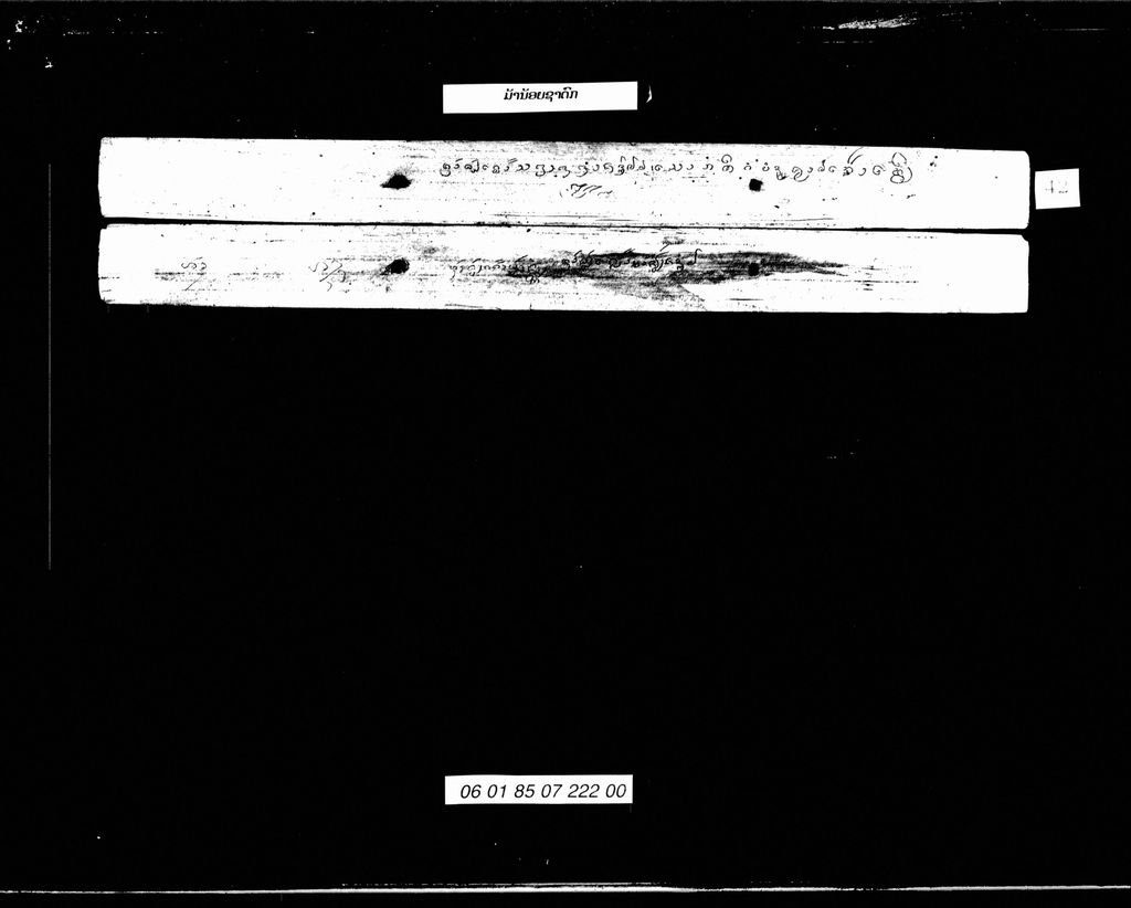 ມ້ານ້ອຍຊາດົກ