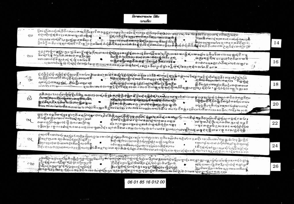 ນິຍາສະກາຣະກະ ( ນິສັຍ ) ນາມະກິຕ