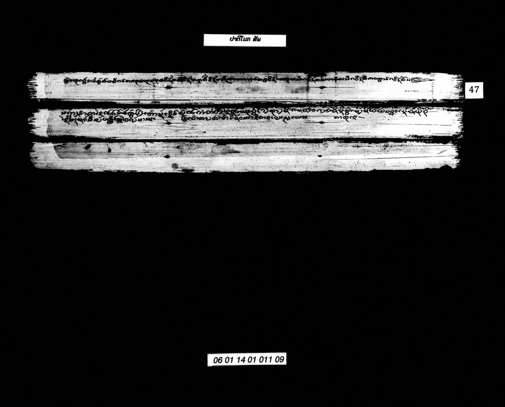 ປາຕີໂມກ(ສັພ)