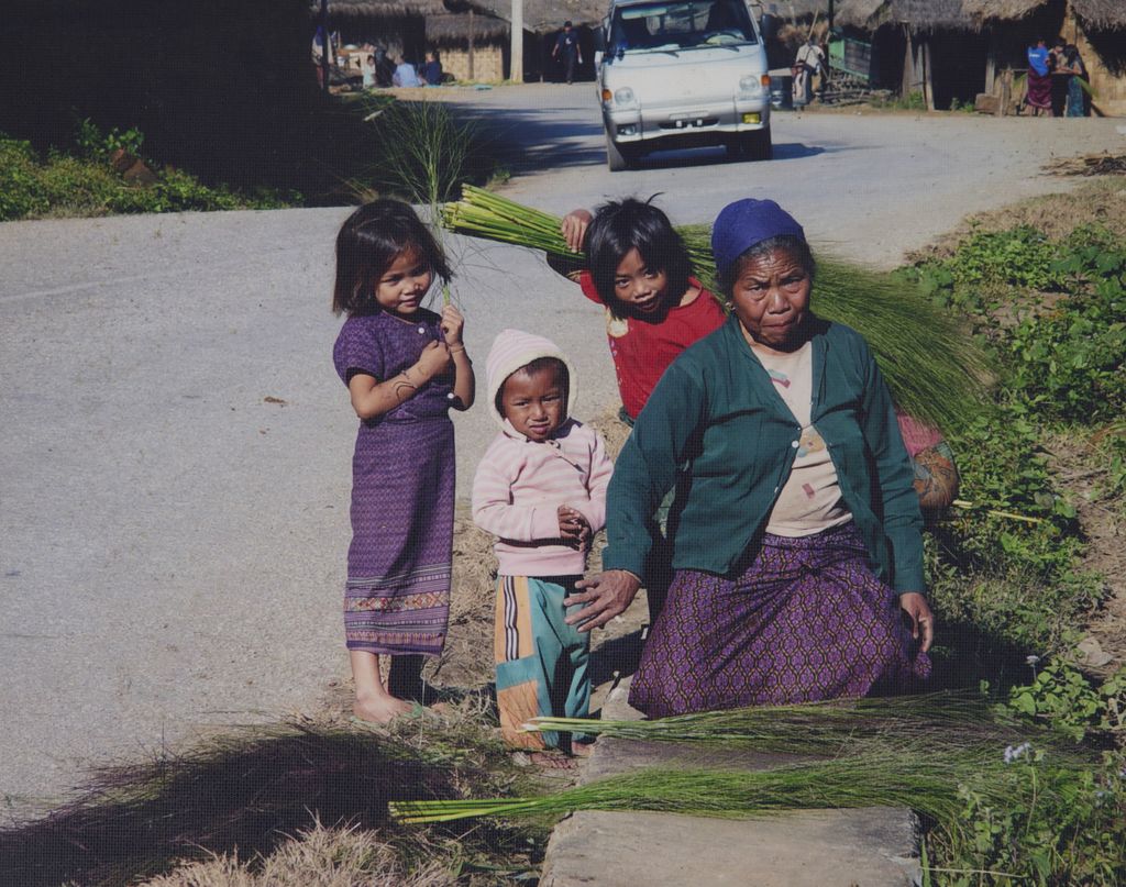 ປະ​ຊາ​ຊົນ​ເກັບ​ດອກ​ຫຍ້າ