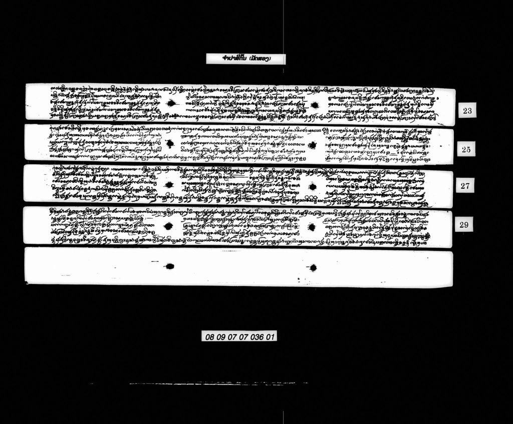 ຈຳປາສີ່ຕົ້ນ (ມັດ2)