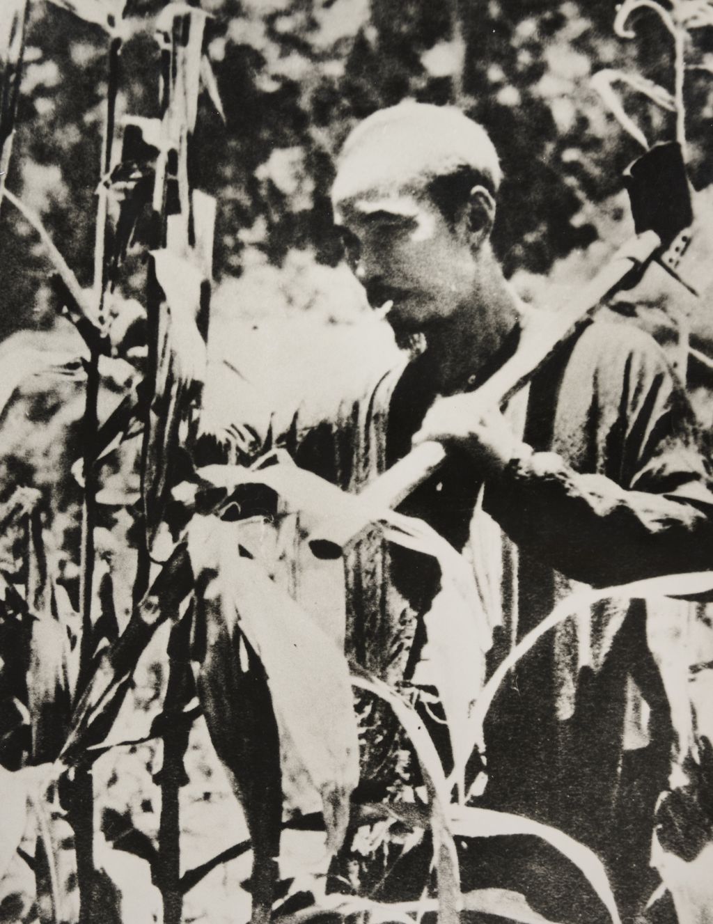 ປະ​ທານ​ໂຮ​ຈິ​ມິນ ເພີ່ມ​ພູນ ຜະ​ລິດ​ຜົນ ຢູ່​ຫວຽດ​ບັກ