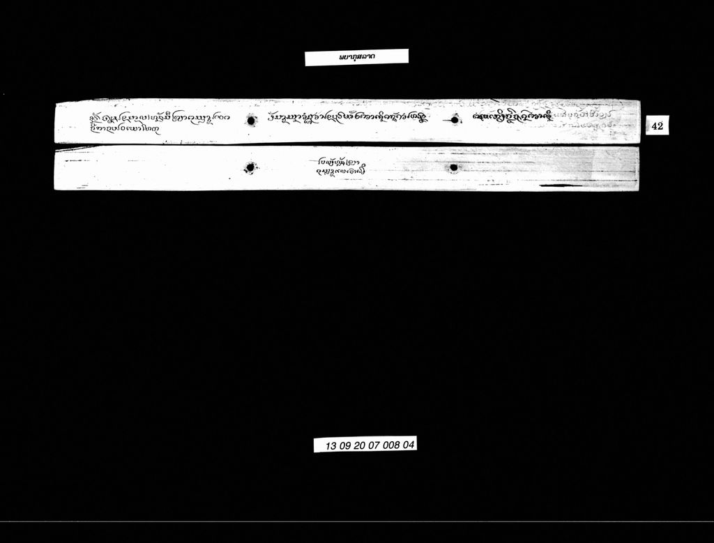 ພຍາກຸສລາດ