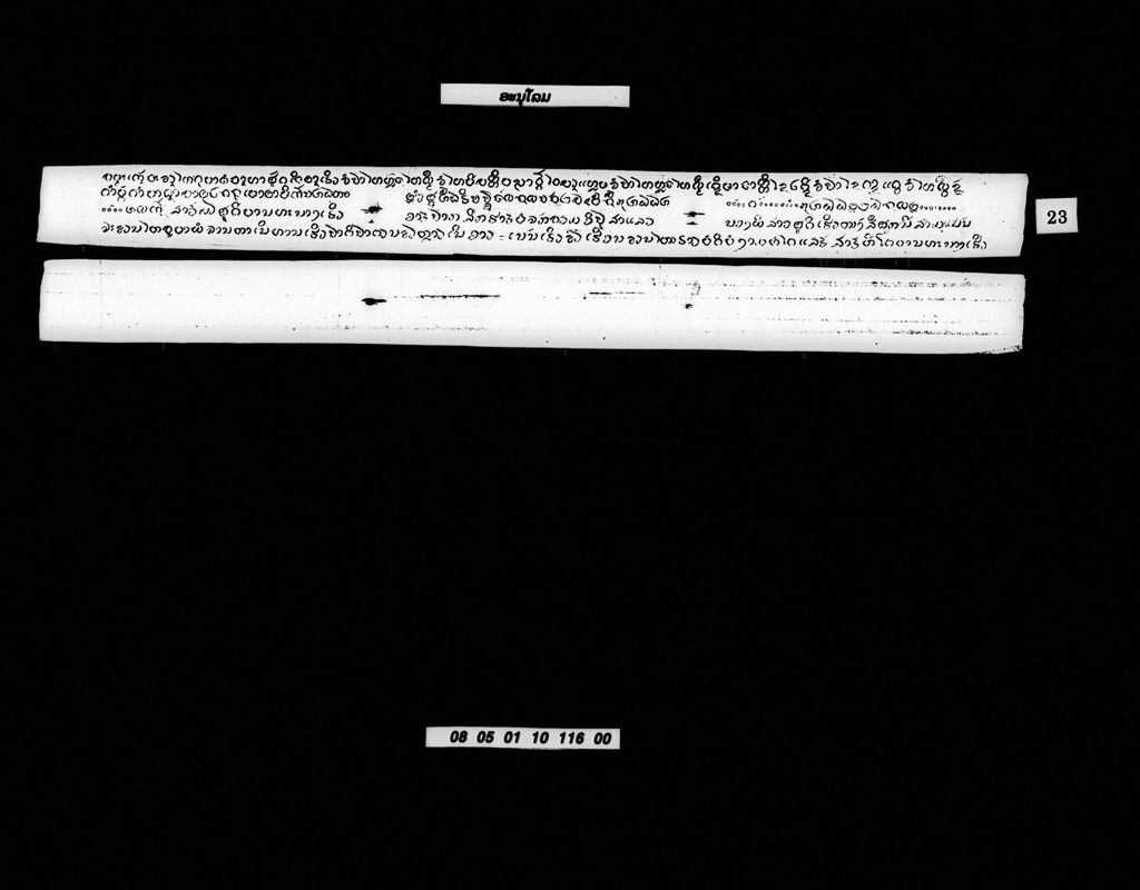 ອະນຸໂລມ