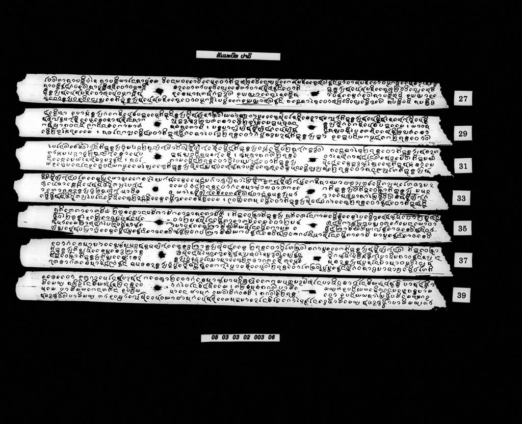 ທັມມະບົທ (ປາລີ)