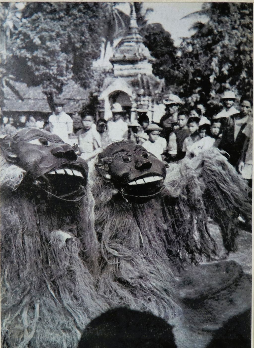 ຮູບ​ພ​າບຂາວດຳ  ປູ່ເຢີ-ຍ່າເຢີ ປີ 1956