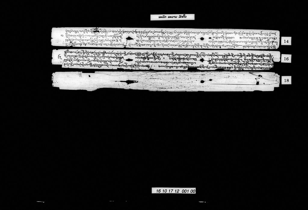 ພະລັກພະລາມ (ມັດຕົ້ນ)