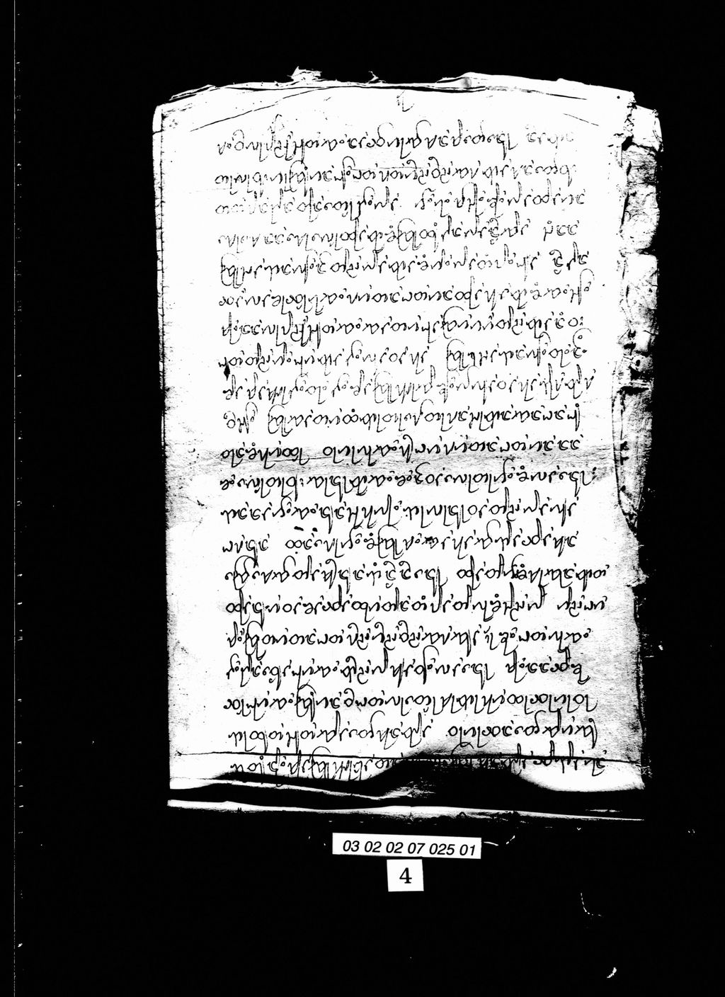 ນາງໝາກພ້າວ