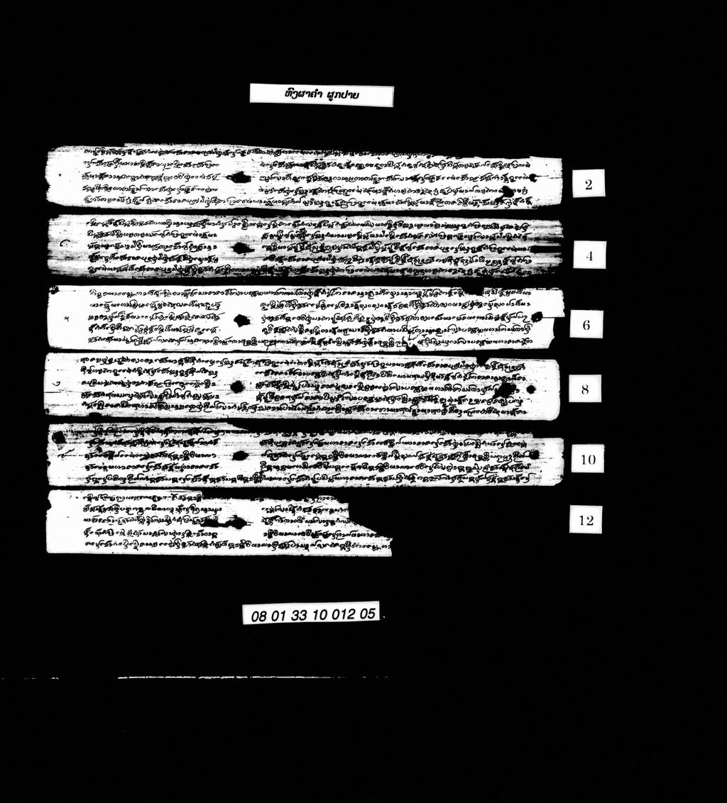 ຫົງຜາຄຳ ຜູກປາຍ