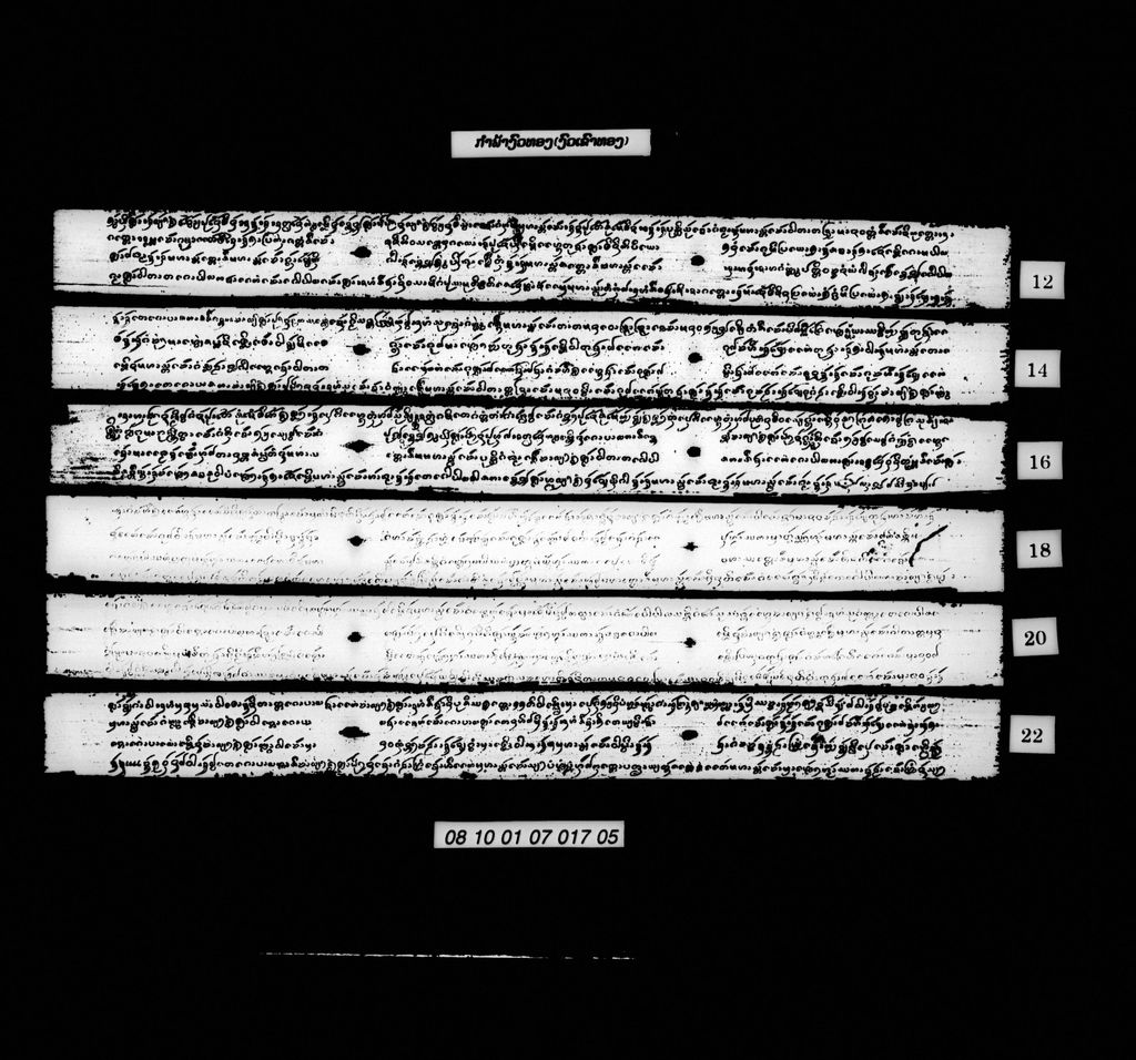 ກຳພ້າງົວທອງ (ງົວເຂົາທອງ)