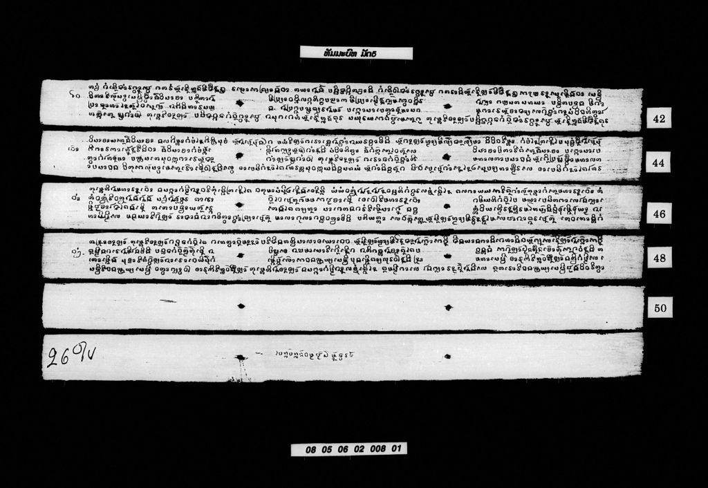 ທັມມະບົທ (ມັດ5)