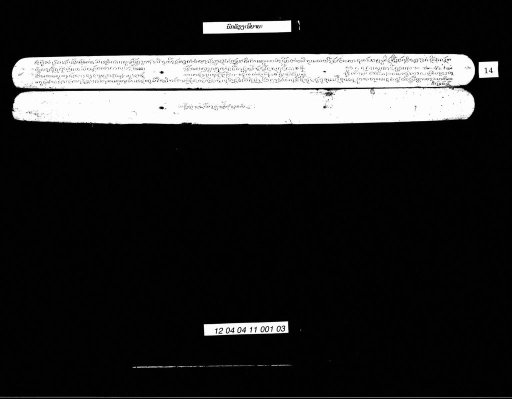 ນົກອ້ຽງ (ນິຍາຍ)