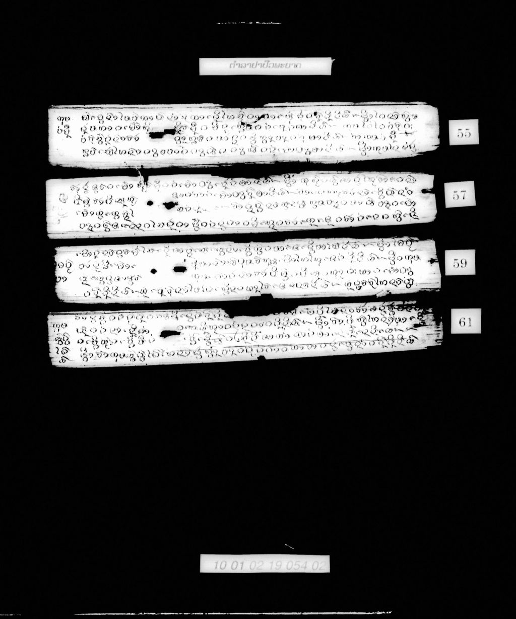 ຕໍາລາຢາປົວພະຍາດ