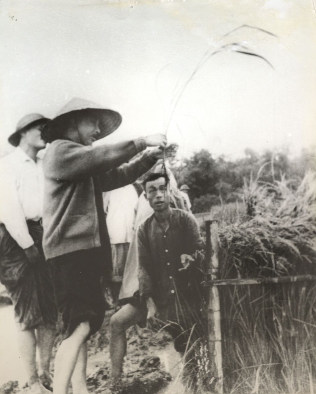 ຟານ​ໂບ້ຍ​ເຈົາ​ຢ້ຽມ​ຢາມ​ນາ​ເຂົ້າ