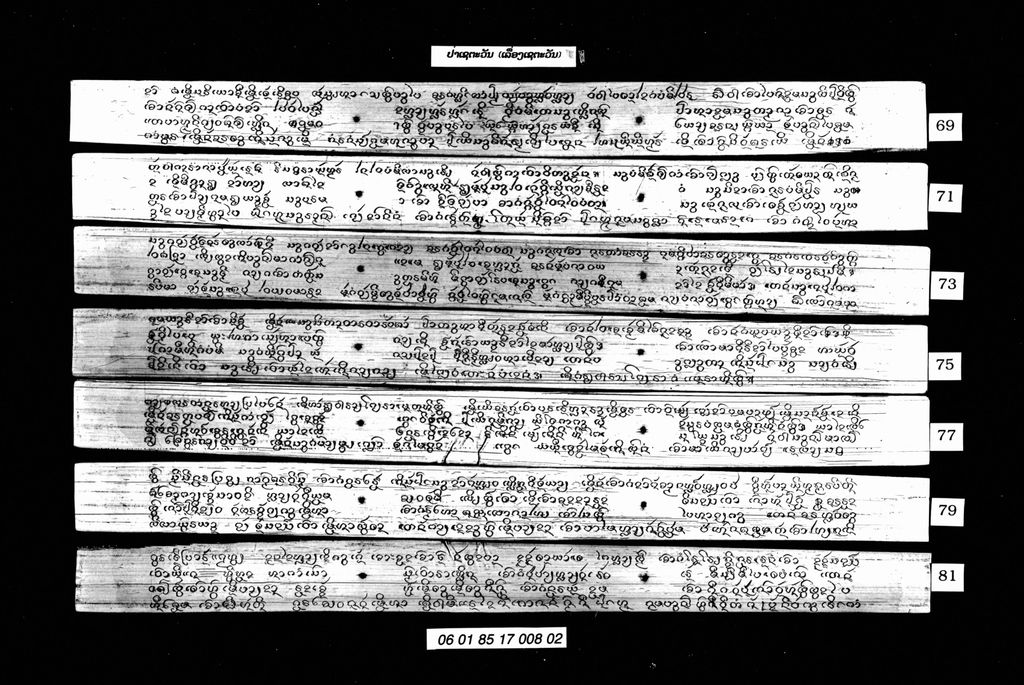 ປ່າເຊຕະວັນ ( ເລື່ອງເຊຕະວັນ )