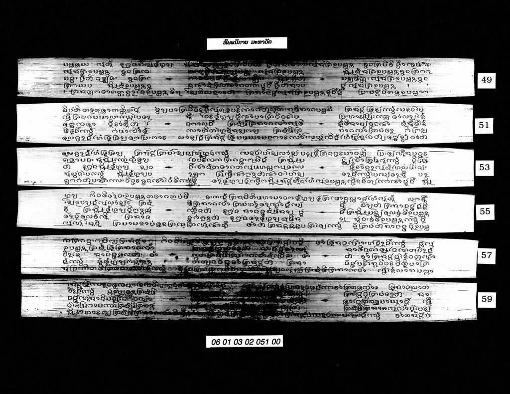 ທິພພນິກາຍ ມະຫາວັຄ