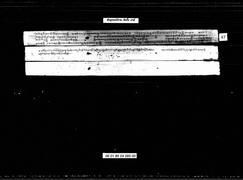 ສັງຍຸຕຕະນິກາຍ ມັດຕົ້ນ (ປາລີ)