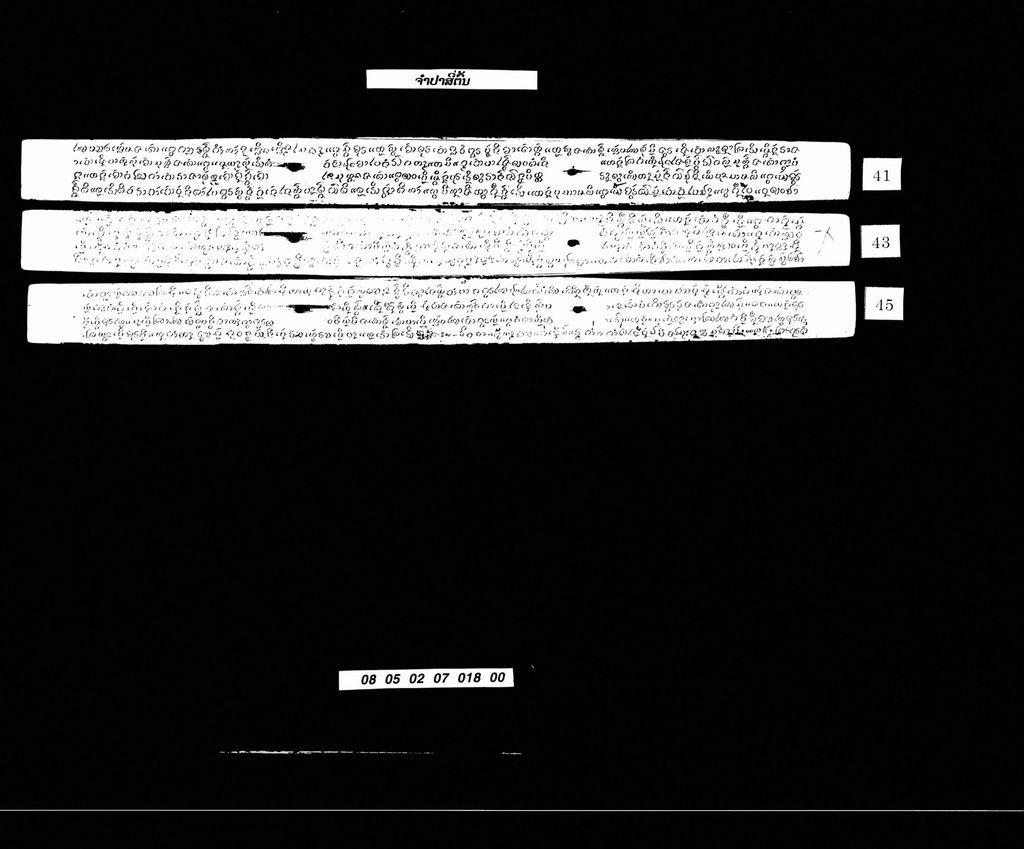 ຈຳປາສີ່ຕົ້ນ