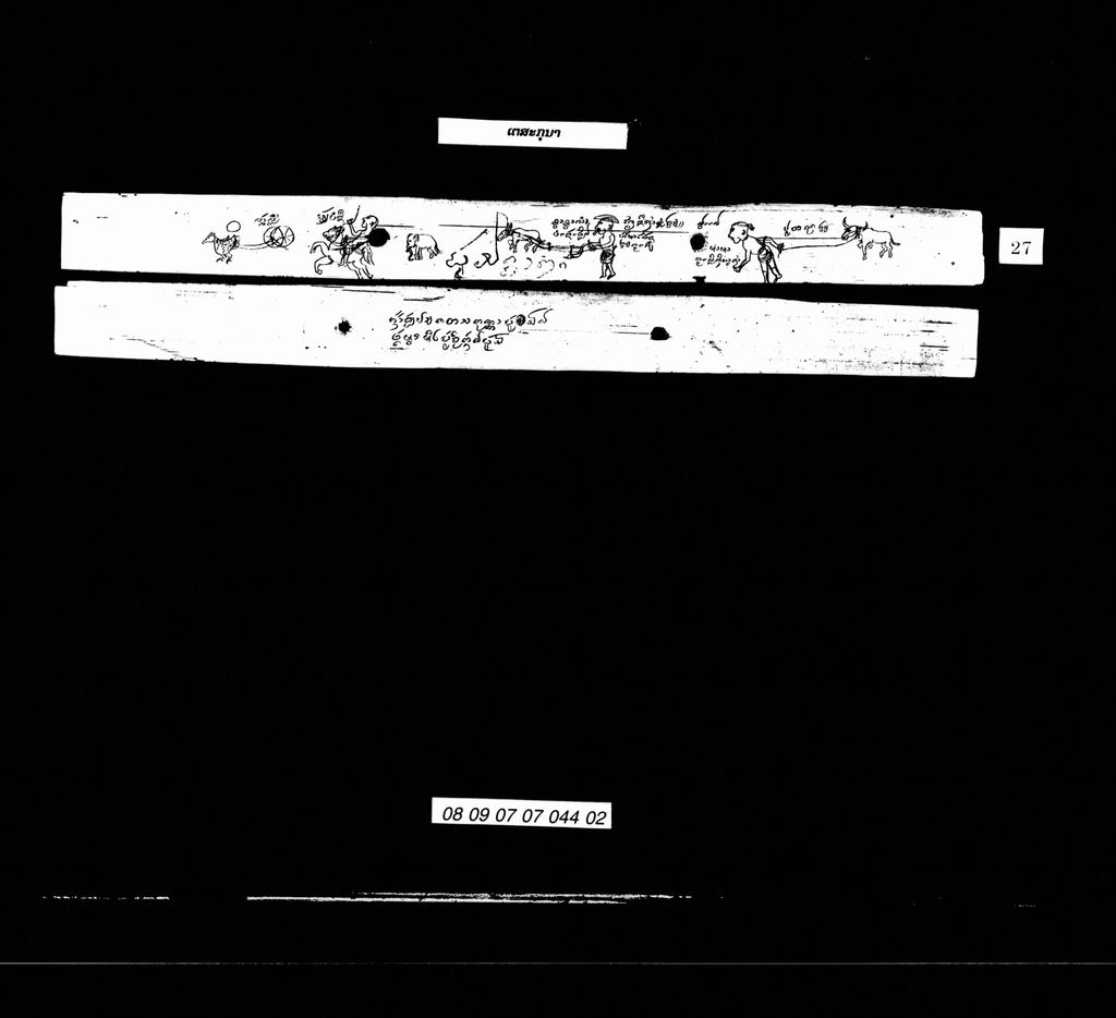 ເຕສະກຸນາ