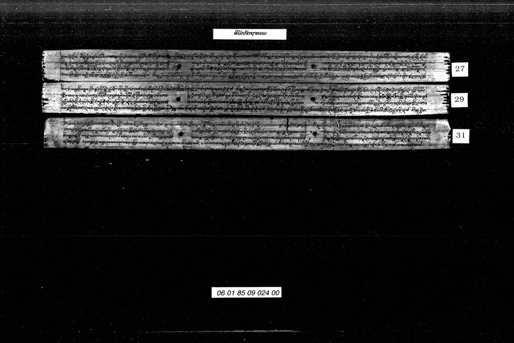 ສີລັກກັຕຖາສອມ