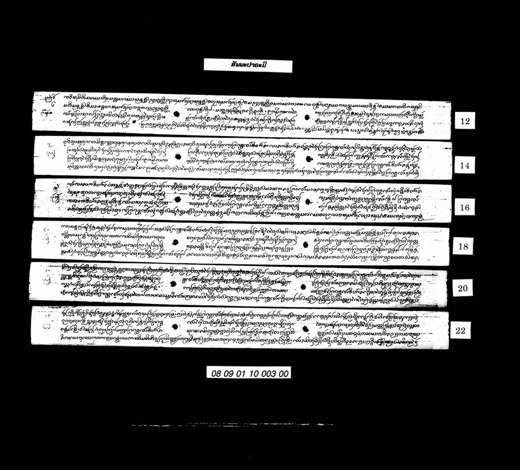 ສັພພະປາຣະມີ