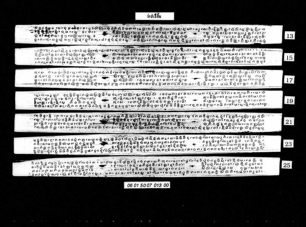 ຈຳປາສີ່ຕົ້ນ (ມັດ2)