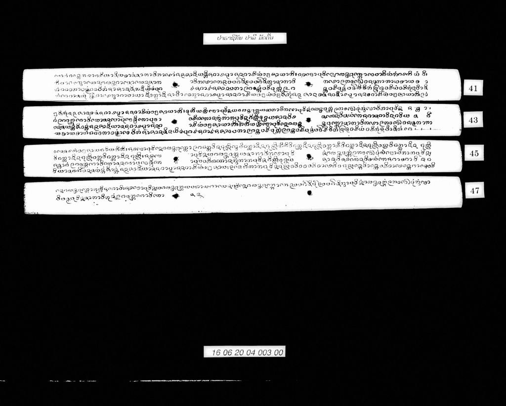 ປາຣາຊິກັນ (ປາລີ) ມັດຕົ້ນ